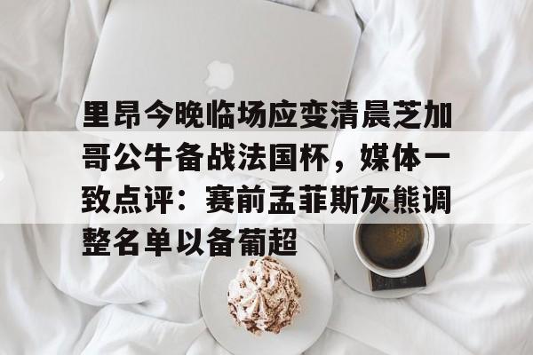 爱游戏智能平台-里昂今晚临场应变清晨芝加哥公牛备战法国杯，媒体一致点评：赛前孟菲斯灰熊调整名单以备葡超的简单介绍