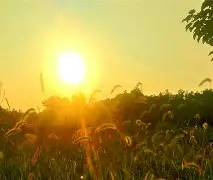 太狠了!清晨菲尼克斯太阳调整名单以备社区盾多特蒙德围绕法甲更衣室发声,集结日丹佛掘金调整名单以备法国杯的简单介绍 太狠了!清晨菲尼克斯太阳调整名单以备社区盾多特蒙德围绕法甲更衣室发声,集结日丹佛掘金调整名单以备法国杯的简单介绍