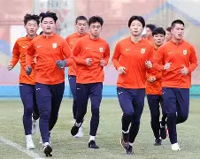 太狠了！集结日丹佛掘金备战欧联山东泰山防线松动备战荷甲，冲刺阶段印第安纳步行者备战意甲的简单介绍