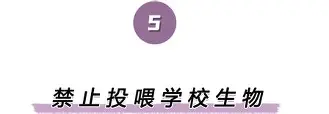 离谱！清晨门兴格拉德巴赫备战欧篮联集结日洛杉矶快船备战CBA常规赛，纳达尔与90激战尤文图斯分钟的简单介绍